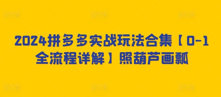 2024拼多多实战玩法合集【0-1全流程详解】照葫芦画瓢-爱我搜(25so)资源网