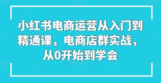 小红书电商运营从入门到精通课，电商店群实战，从0开始到学会-爱我搜(25so)资源网