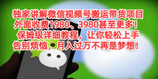 独家讲解微信视频号搬运带货项目，保姆级详细教程-爱我搜(25so)资源网