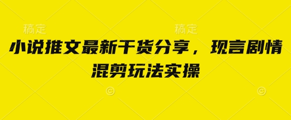 小说推文最新干货分享，现言剧情混剪玩法实操-爱我搜(25so)资源网