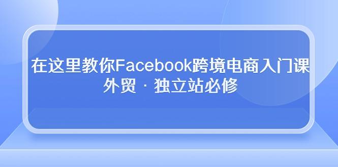在这里教你Facebook跨境电商入门课，外贸·独立站必修-爱我搜(25so)资源网