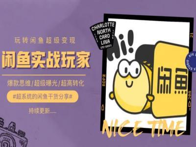 手把手教你0到1系统玩转闲鱼变现，爆款思维/超级曝光/超高转化-爱我搜(25so)资源网