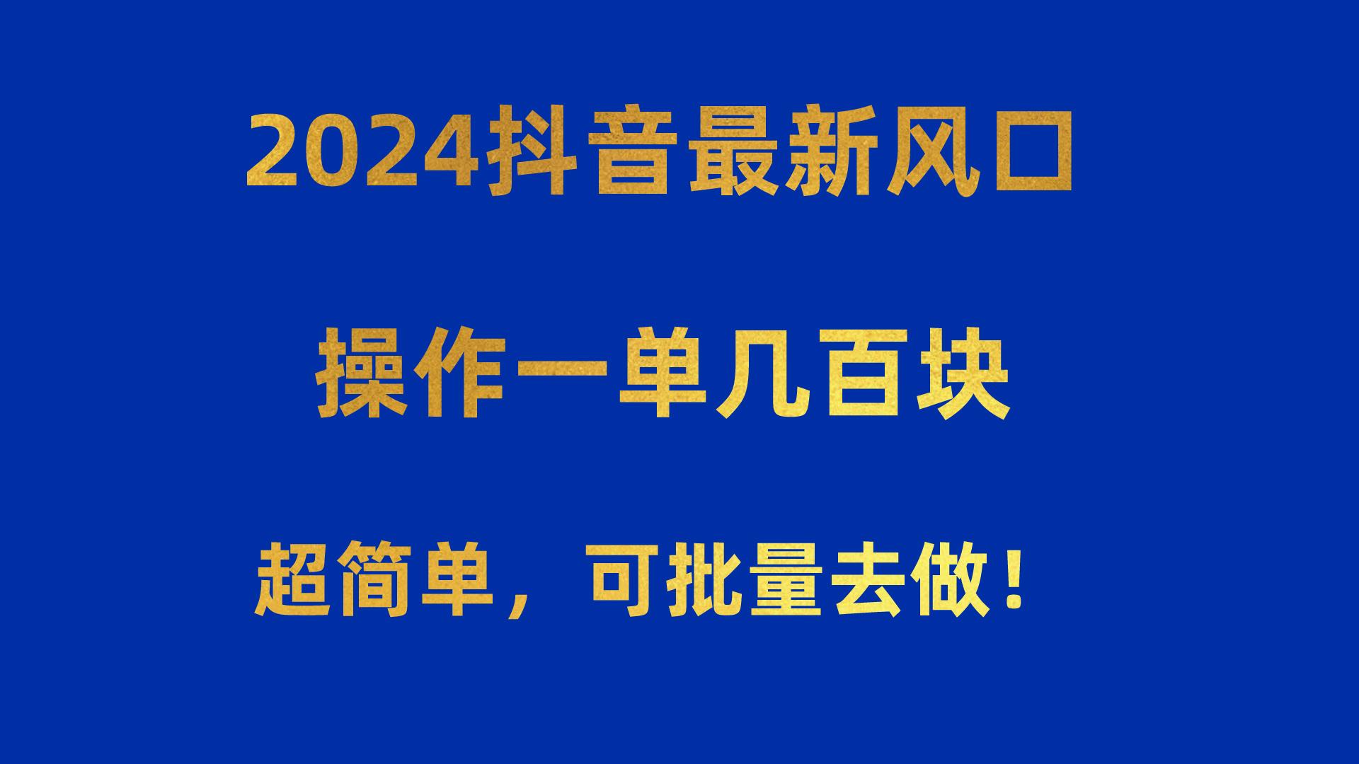 2024抖音最新风口！操作一单几百块！超简单，可批量去做！！！-爱我搜(25so)资源网