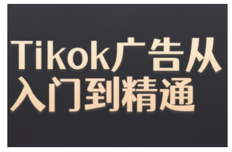 Tiktok Ads实操教程，Tiktok广告从入门到精通-爱我搜(25so)资源网