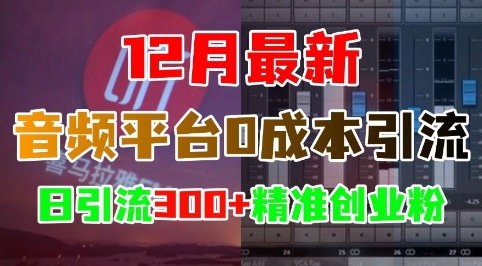 12月最新：音频平台0成本引流，日引流300+精准创业粉-爱我搜(25so)资源网