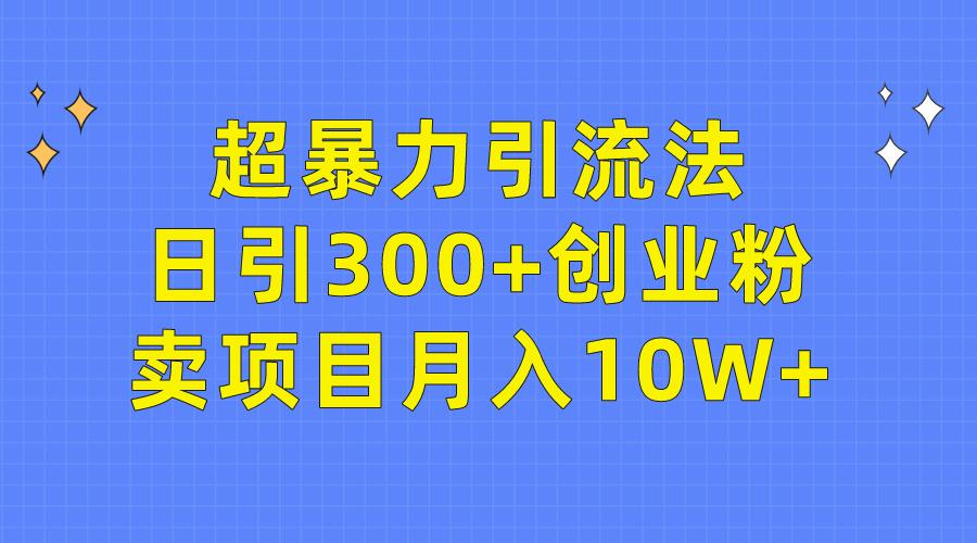 (9954期)超暴力引流法，日引300+创业粉，卖项目月入10W+-爱我搜(25so)资源网
