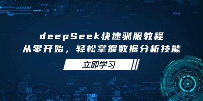 deepSeek快速驯服教程，从零开始，轻松掌握数据分析技能-爱我搜(25so)资源网