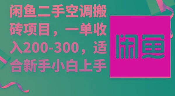(9539期)闲鱼二手空调搬砖项目，一单收入200-300，适合新手小白上手-爱我搜(25so)资源网