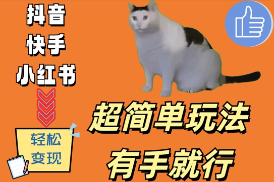 超简单玩法，有手就行，靠猫咪视频日入500+【揭秘】-爱我搜(25so)资源网