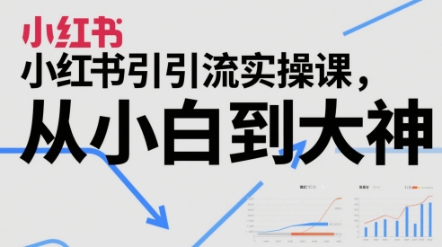 小红书引流实操课，从小白到大神-爱我搜(25so)资源网
