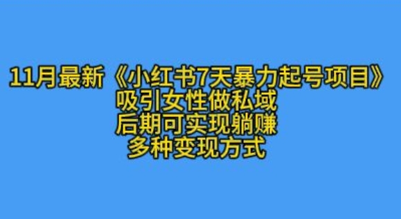 K总部落11月最新小红书7天暴力起号项目，吸引女性做私域【揭秘】-爱我搜(25so)资源网