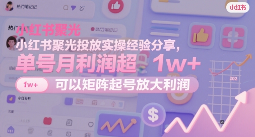 小红书聚光投放实操经验分享，单号月利润超1w+，可以矩阵起号放大利润-爱我搜(25so)资源网