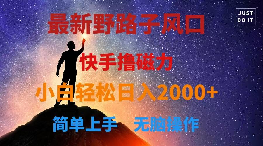 最新风口！快手撸磁力，野路子，小白无脑操作日入2000+-爱我搜(25so)资源网