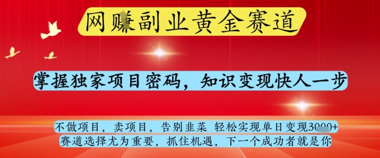 网创副业黄全赛道，掌握独家项目密码，知识变现快人一步，告别韭菜轻松实现单日变现1k+【揭秘】-爱我搜(25so)资源网