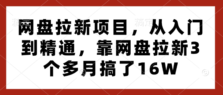 网盘拉新项目，从入门到精通，靠网盘拉新3个多月搞了16W-爱我搜(25so)资源网