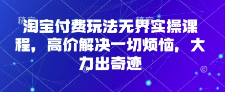 淘宝付费玩法无界实操课程，高价解决一切烦恼，大力出奇迹-爱我搜(25so)资源网