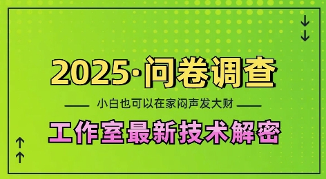 2025问卷调查最新工作室技术解密：一个人在家也可以闷声发大财，小白一天2张，可矩阵放大【揭秘】-爱我搜(25so)资源网