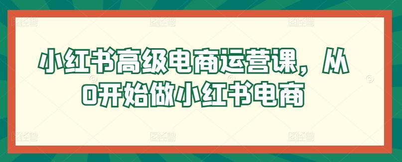 小红书高级电商运营课，从0开始做小红书电商-爱我搜(25so)资源网