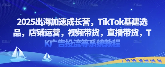 2025出海加速成长营，TikTok基建选品，店铺运营，视频带货，直播带货，TK广告投流等系统教程-爱我搜(25so)资源网