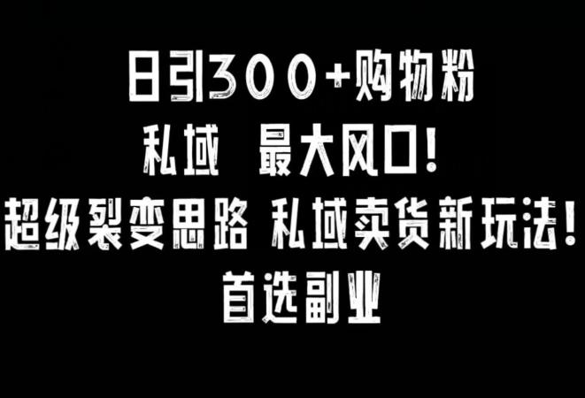 日引300+购物粉，超级裂变思路，私域卖货新玩法，小红书首选副业【揭秘】-爱我搜(25so)资源网