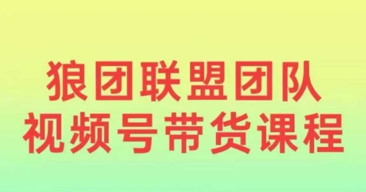 狼团联盟2024视频号带货，0基础小白快速入局视频号-爱我搜(25so)资源网