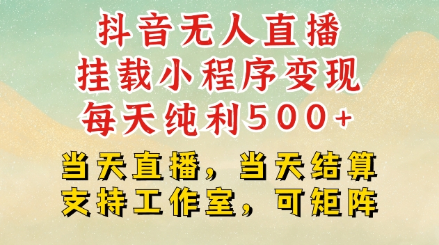 抖音无人直播挂载小程序变现每天纯利500+当天直播，当天结算支持工作室，可矩阵【揭秘】-爱我搜(25so)资源网