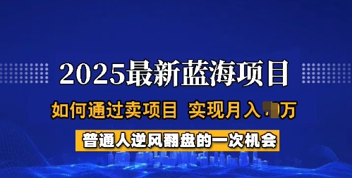 2025蓝海项目，普通人如何通过卖项目，实现月入过W，全过程【揭秘】-爱我搜(25so)资源网