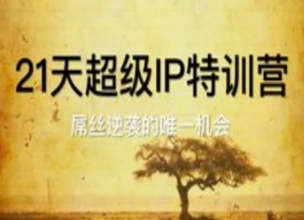 21天超级IP特训营，屌丝逆袭的唯一机会-爱我搜(25so)资源网
