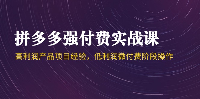 拼多多强付费实战课-44期，高利润产品项目经验，低利润微付费阶段操作-爱我搜(25so)资源网