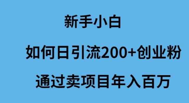 (9668期)新手小白如何日引流200+创业粉通过卖项目年入百万-爱我搜(25so)资源网