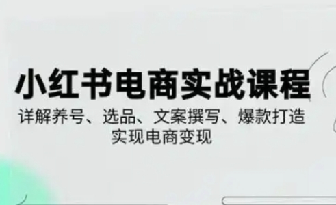 小红书从0-1实操课(2023-2025)，详解养号、选品、文案撰写、爆款打造实现电商变现-爱我搜(25so)资源网