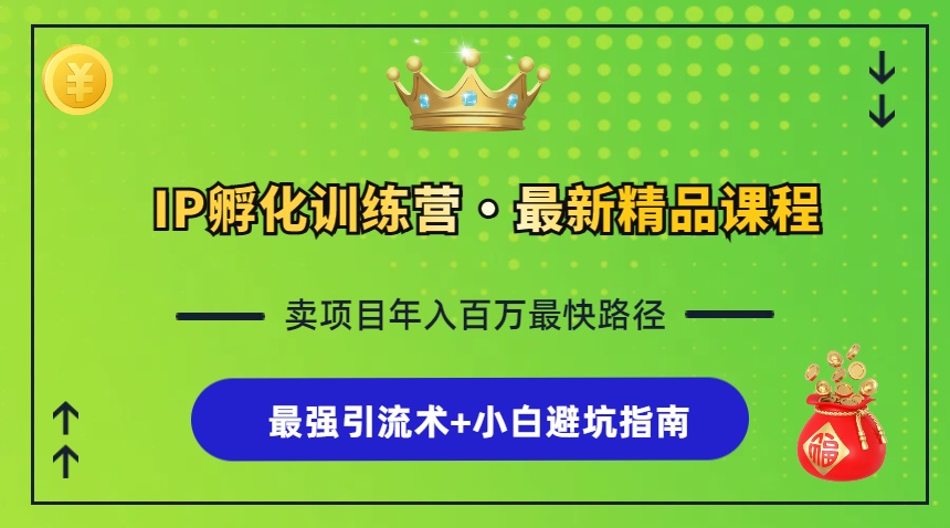 IP孵化训练营，知识付费全流程+最强引流术+小白避坑指南-爱我搜(25so)资源网