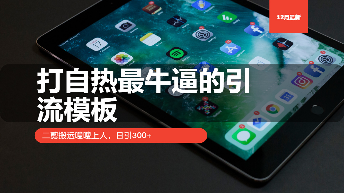 打自热最牛逼的引流模板，二剪搬运嗖嗖上人，日引300+-爱我搜(25so)资源网
