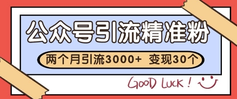 公众号精准粉引流玩法，2个月3000+精准粉，变现30个W【揭秘】-爱我搜(25so)资源网