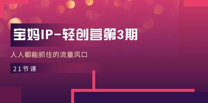 宝妈IP-轻创营第3期，人人都能抓住的流量风口(21节课-爱我搜(25so)资源网