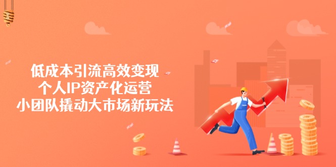 低成本引流高效变现，个人IP资产化运营，小团队撬动大市场新玩法-爱我搜(25so)资源网