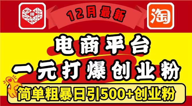 12月最新：电商平台1元打爆创业粉，简单粗暴日引500+精准创业粉，轻松月入过W【揭秘】-爱我搜(25so)资源网