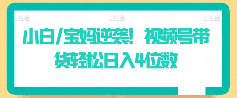 小白/宝妈逆袭！视频号带货轻松日入4位数【揭秘】-爱我搜(25so)资源网