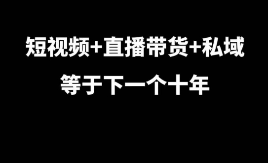 短视频+直播带货+私域等于下一个十年，大佬7年实战经验总结-爱我搜(25so)资源网