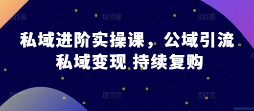 私域进阶实操课，公域引流 私域变现 持续复购-爱我搜(25so)资源网