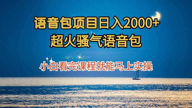 语音包项目 日入2000+ 超火骚气语音包小白看完课程就能马上实操-爱我搜(25so)资源网