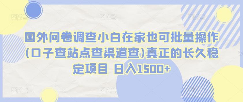 国外问卷调查小白在家也可批量操作(口子查站点查渠道查)真正的长久稳定项目 日入1500+【揭秘】-爱我搜(25so)资源网