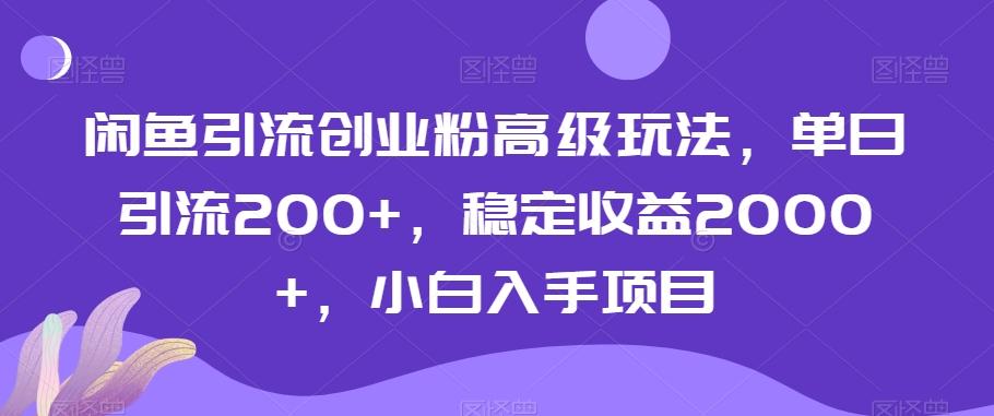 闲鱼引流创业粉高级玩法，单日引流200+，稳定收益2000+，小白入手项目-爱我搜(25so)资源网