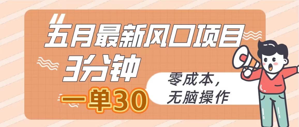 五月最新风口项目，3分钟一单30，零成本，无脑操作-爱我搜(25so)资源网
