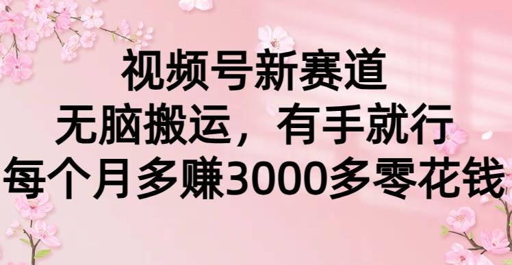 (9278期)视频号新赛道，无脑搬运，有手就行，每个月多赚3000多零花钱-爱我搜(25so)资源网