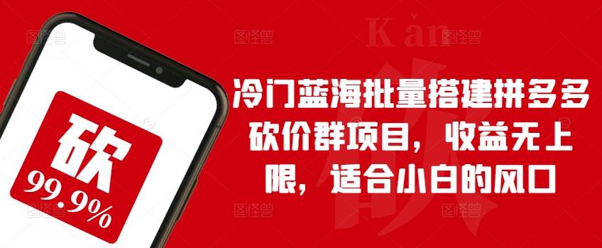 冷门蓝海批量搭建拼多多砍价群项目，收益无上限，适合小白的风口【揭秘】-爱我搜(25so)资源网