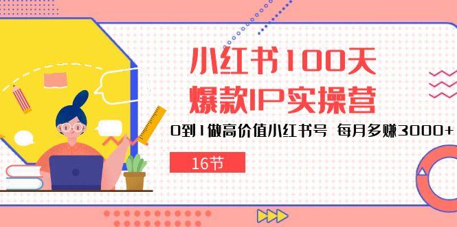 小红书100天-爆款IP实操营，0到1做高价值小红书号 每月多赚3000+(16节-爱我搜(25so)资源网