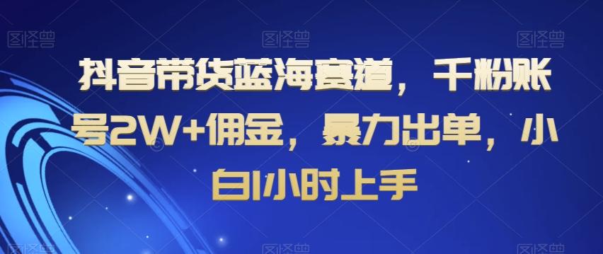 抖音带货蓝海赛道，千粉账号2W+佣金，暴力出单，小白1小时上手【揭秘】-爱我搜(25so)资源网