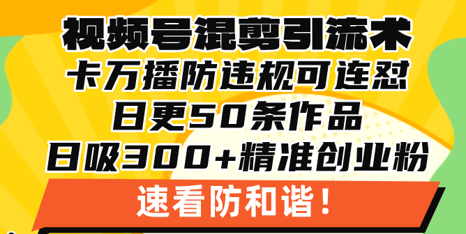 视频号混剪引流技术，500万播放引流17000创业粉，操作简单当天学会-爱我搜(25so)资源网