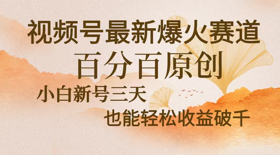 视频号最新爆火赛道，中老年粉深信不疑，百分百原创，新号三天收益轻松…-爱我搜(25so)资源网